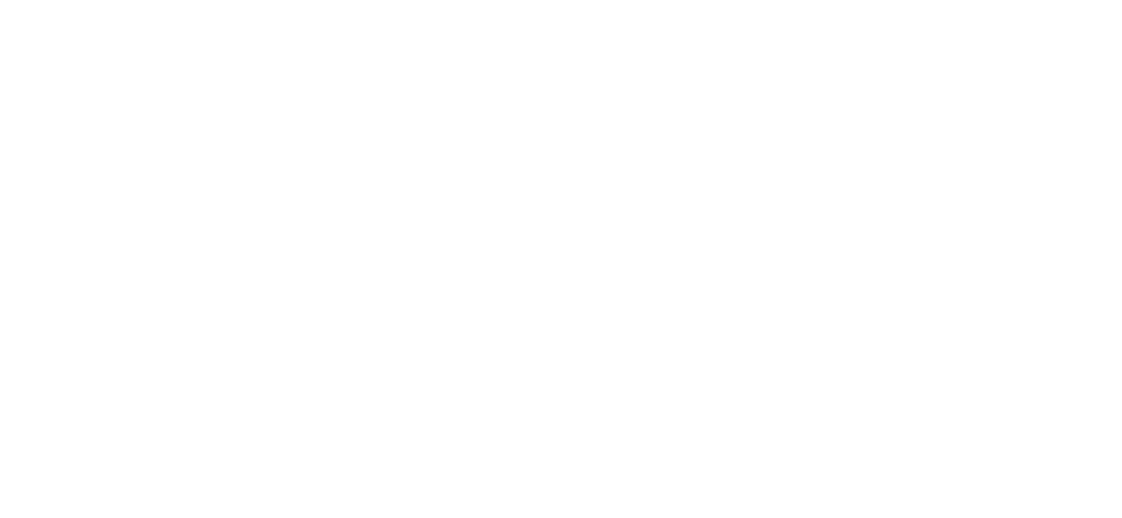 logo ISO